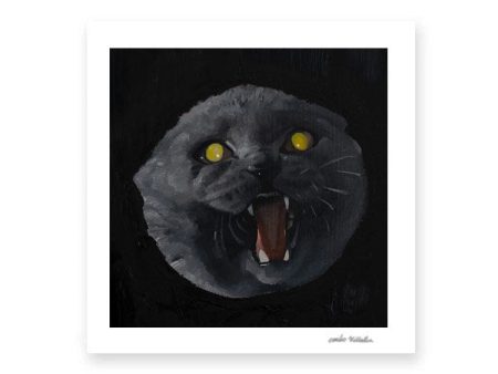 Cat Fine Art Print For Discount