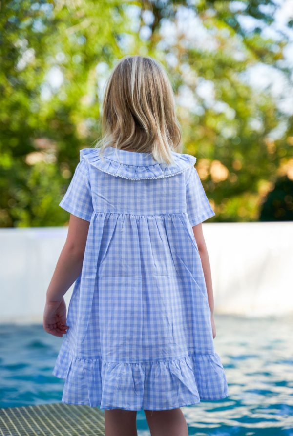 Nabi Cornflower Blue Gingham Dress Discount