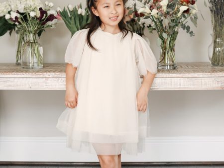 Delphine Ivory Tulle Dress Supply