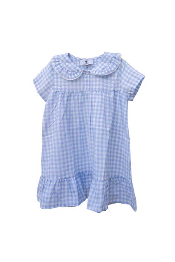 Nabi Cornflower Blue Gingham Dress Discount