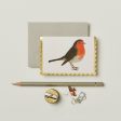 Robin Mini Card Supply