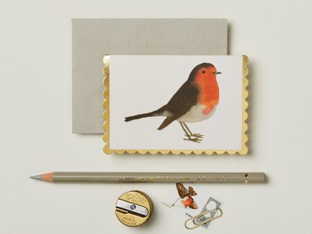 Robin Mini Card Supply