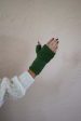 Stela Fingerless Gloves- Verde Online now