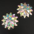 Snow flake diamond pasties For Discount