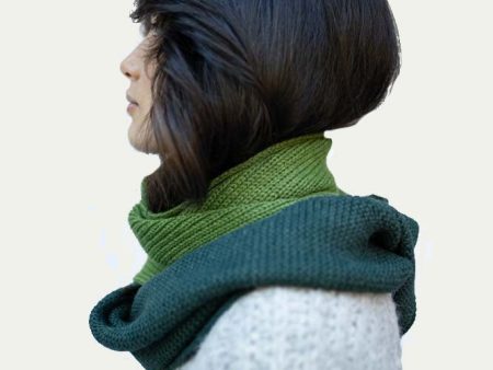 Stela Scarf- Verde For Sale